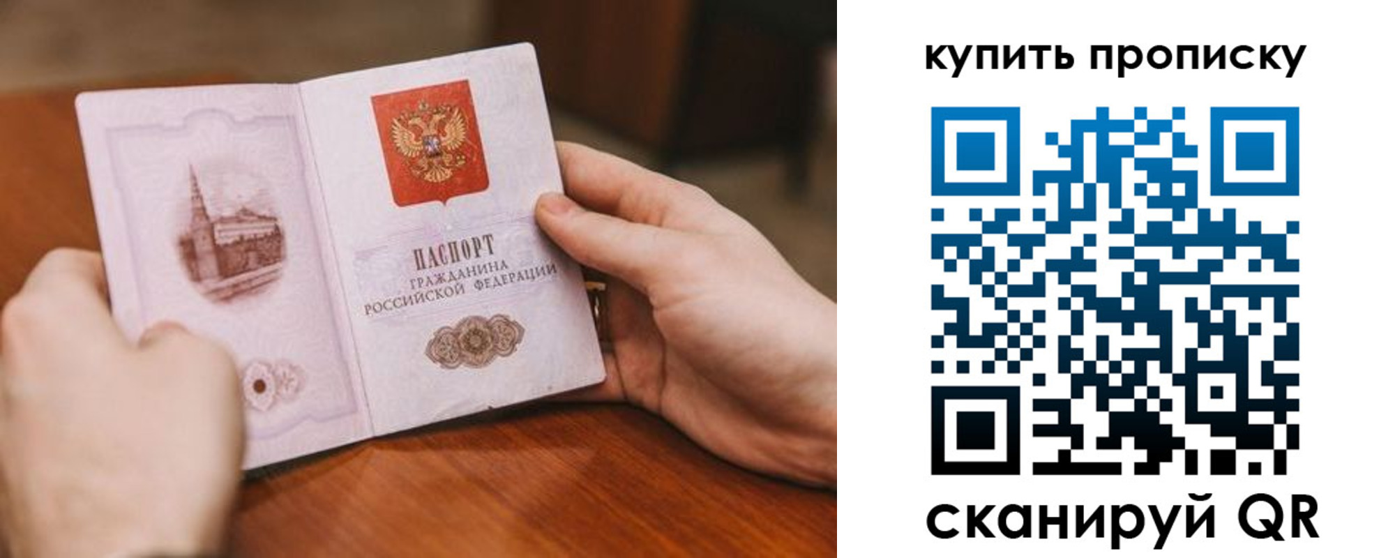 прописка законно в Сураже
